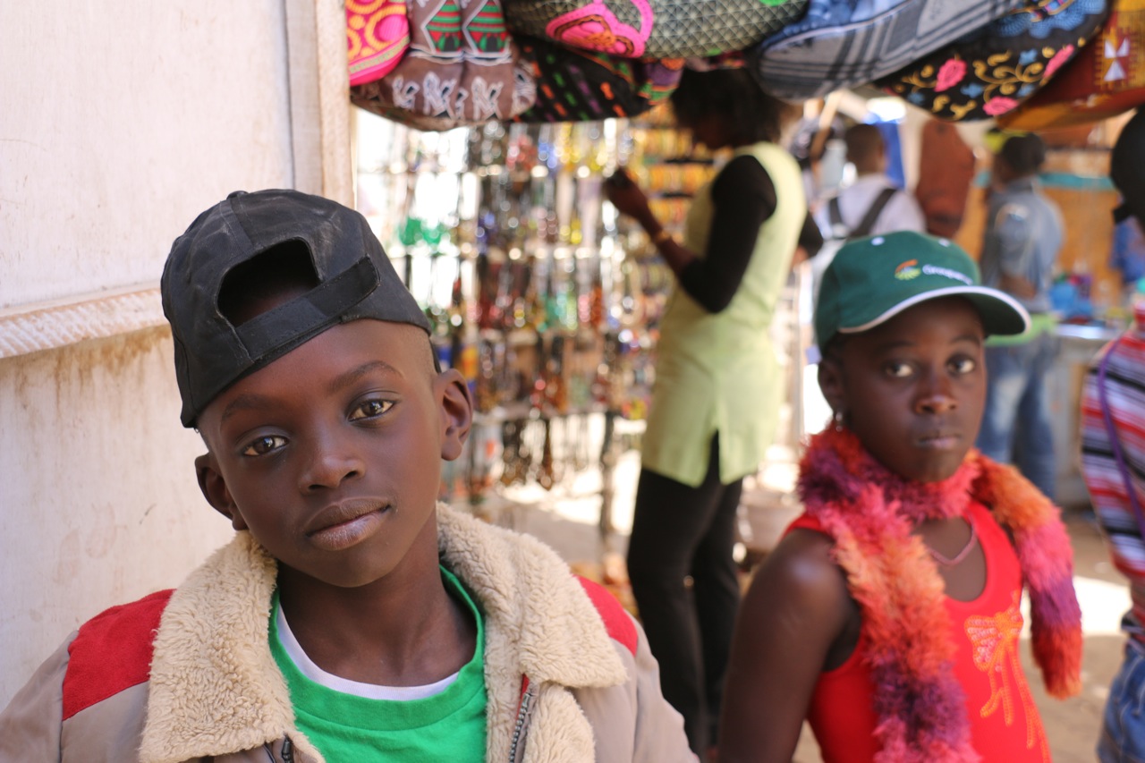 Un lion à Dakar