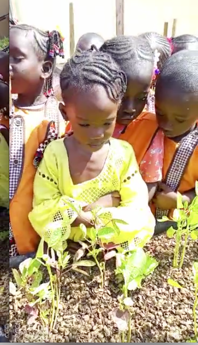 Le jardin sert aussi de jardin pédagogique